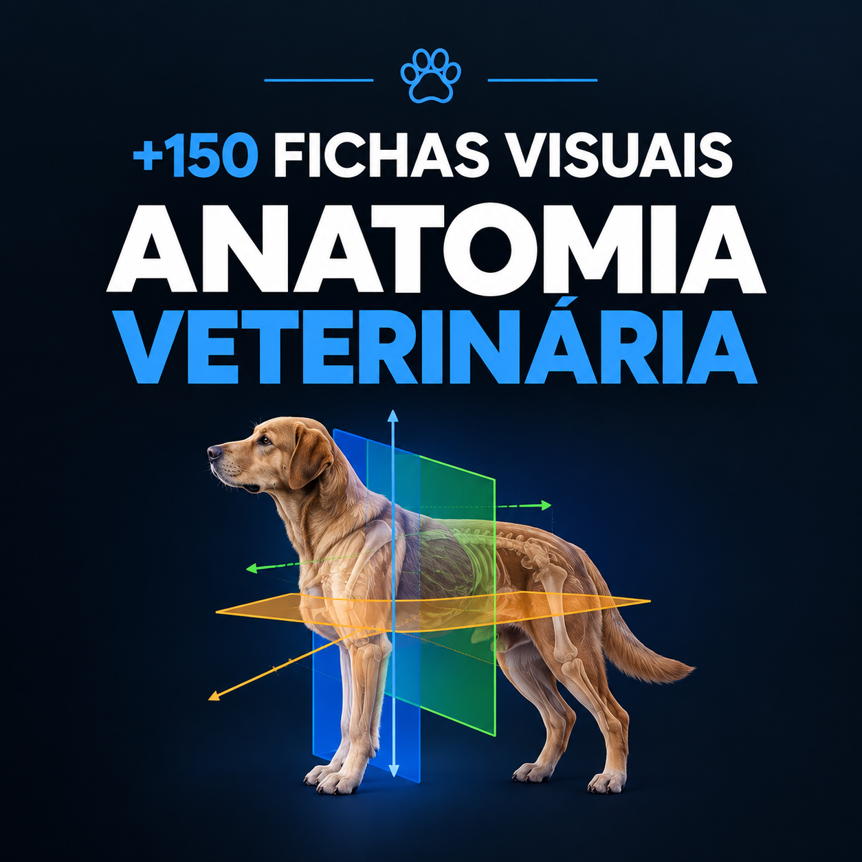 Capa do material 150+ Fichas Visuais de Anatomia Veterinária